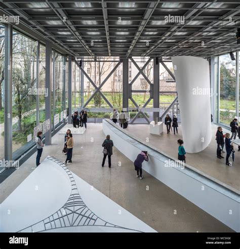 fondation cartier pour l'art contemporain